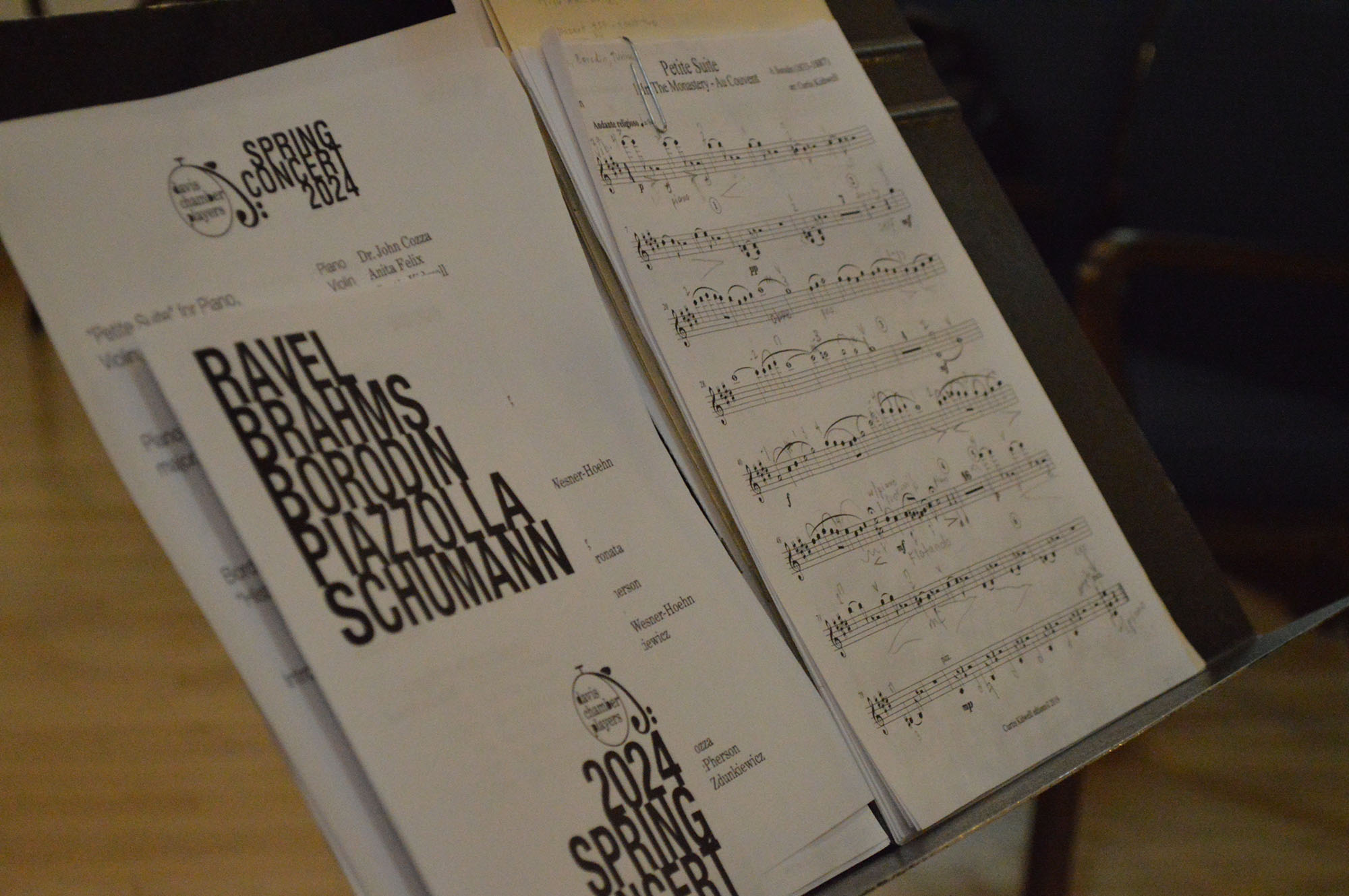 Davis Chamber Players branded concert poster and program materials
